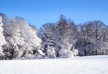 Bild zur News: Zauberhafte Advents- und Winterzeit in Reinhardshausen