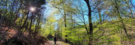 Landschaft von Bad Wildungen 