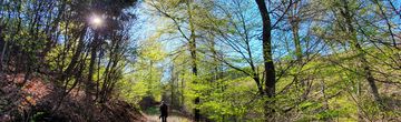 In harmony with the nature
