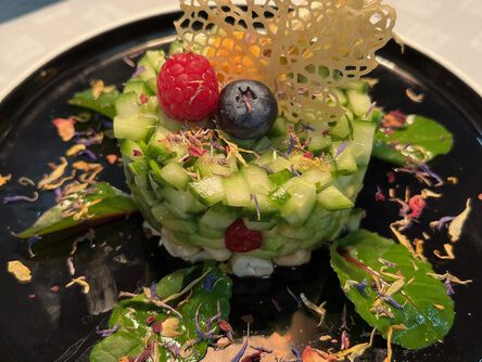 Avocado Gurken Tatar