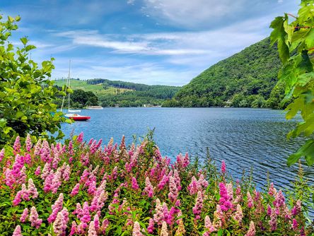 Blühende Blumen am Seeufer mit Segelboot und grünen Hügeln