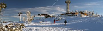 For snow lovers