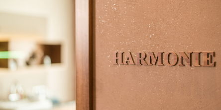 Harmonie Schriftzug an der Wand