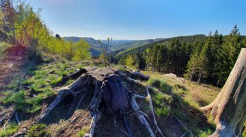 Baumstumpf auf dem Berg mit Blick über die Landschaft