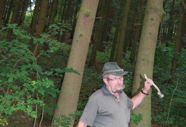 Bild zur News: Wanderung am Ufer des Zechsteinmeeres