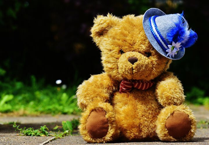 Teddybär mit Hut