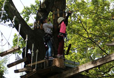 Bild zur News: TIPP: Kletterwald Rotenburg 