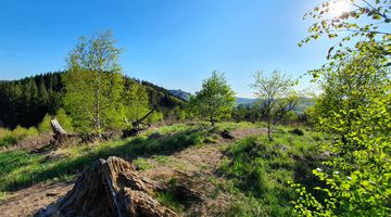 Idyllische Landschaft bei Sonnenschein