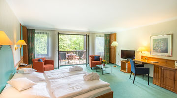 Zimmer mit grünem Teppichboden, einem Doppelbett, einem Schreibtisch und Zugang zum Balkon 