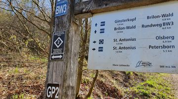 Wegweisertafel aus Holz auf dem Wanderweg 