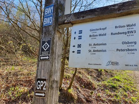 Wegweisertafel aus Holz auf dem Wanderweg 