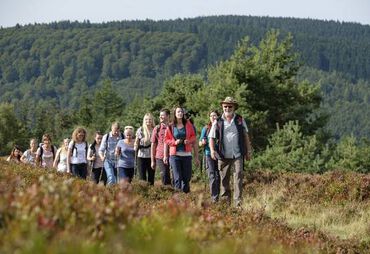 Bild zur News: Willinger Wanderwochen