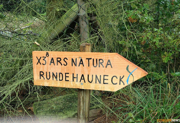 Bild zur News: AKTIV-TIPP: Wanderweg ARS NATURA - Kunstwandern nahe Friedewald