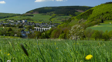 Der Willinger Viadukt umgeben von grünen Wiesen und Natur. 