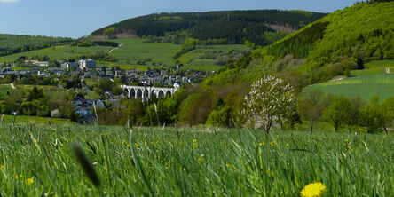 Der Willinger Viadukt umgeben von grünen Wiesen und Natur. 