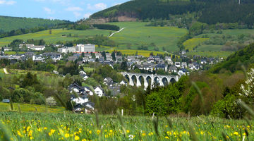 Der Blick auf die Gemeinde Willingen von oben.