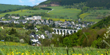 Der Blick auf die Gemeinde Willingen von oben.