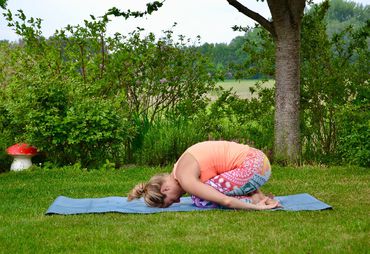 Bild zur News: Yoga für Zuhause - Teil 2