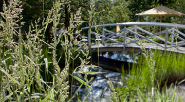 Brücke über einen Bach  bei Sonnenschein