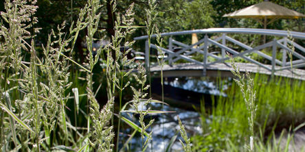 Brücke über einen Bach  bei Sonnenschein