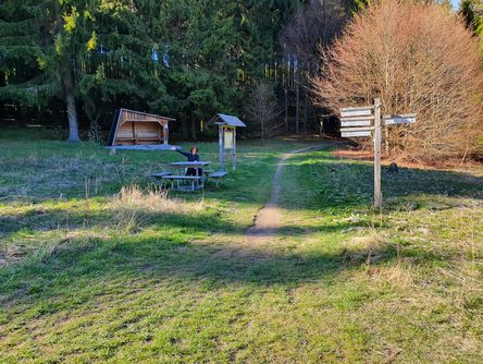 Frau macht eine Wanderpause und sitzt an einem Holztisch