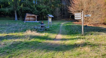 Frau macht eine Wanderpause und sitzt an einem Holztisch