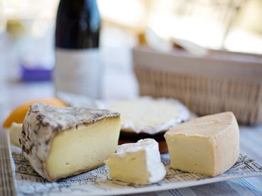 Käse