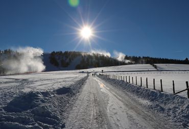 Bild zur News: Wintersportler aufgepasst!