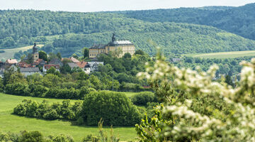 Burg Friedrichsstein in Bad Wildungen