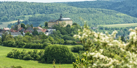 Burg Friedrichsstein in Bad Wildungen