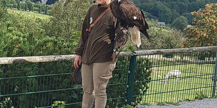 Tierpfleger hält in einem Wildtierpark einen Greifvogel 