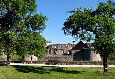 Bild zur News: Wasser-Burgruine nun unter der Leitung des Schlosshotels