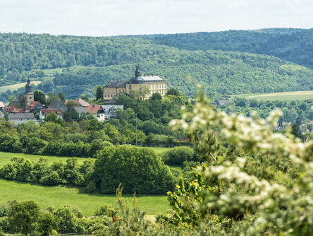 Burg Friedrichsstein in Bad Wildungen