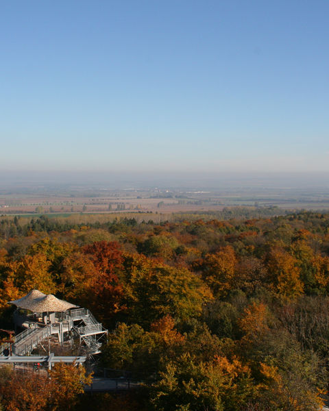 Baumkronenpfad Mühlhausen