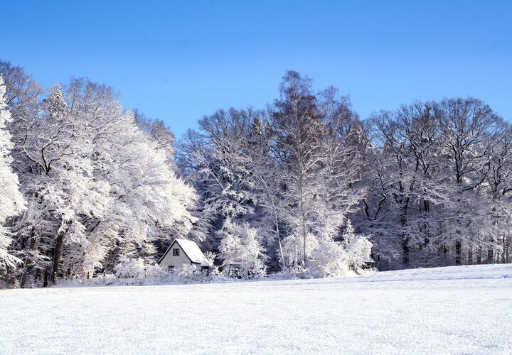Winterlandschaft Bad Wildungen