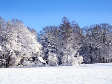 Winterlandschaft Bad Wildungen