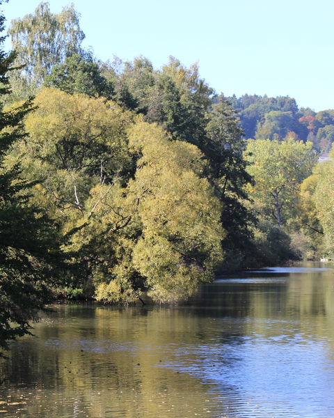 Fuldaauen in der Sonne bei Bad Hersfeld 