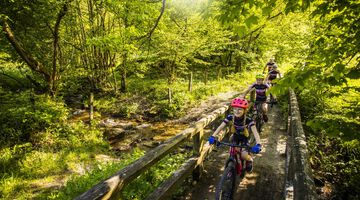 Familie fährt bei der Fahrradtour über eine Holzbrücke im Wald
