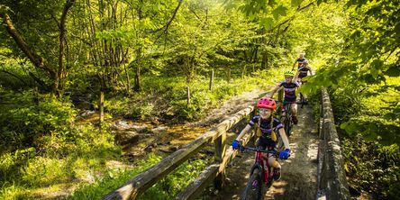 Familie fährt bei der Fahrradtour über eine Holzbrücke im Wald