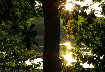 Bild zur News: Freizeittipps für Heringhausen am Diemelsee