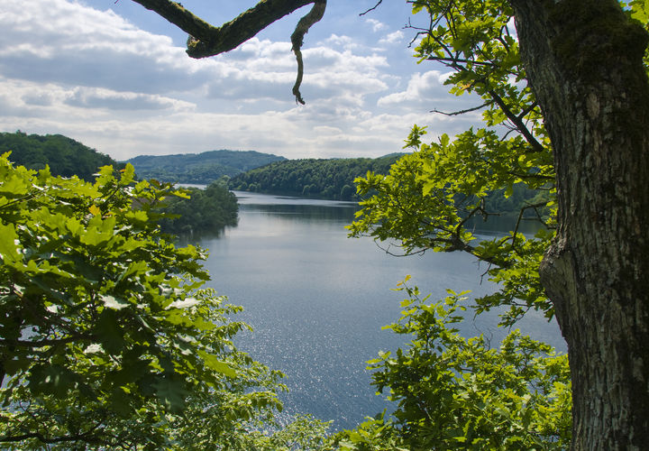 Ausblick auf den Edersee