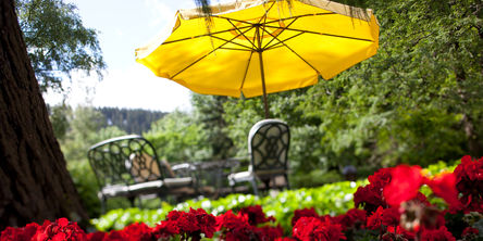 Ein gelber Sonnenschirm spendet den Gästen im Garten des Hotels Stryckhaus Schatten.