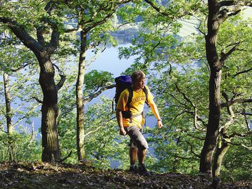 Wandern im Wals am Edersee