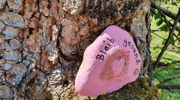 Rosa bemalter Stein auf einem Baum 