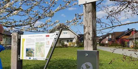 Infotafel und Hundestation unter einem blühenden Baum im Frühling 