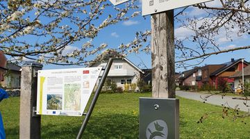 Infotafel und Hundestation unter einem blühenden Baum im Frühling 
