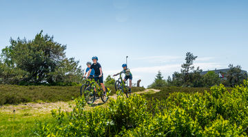 Drei Jungs fahren durch die Landschaft 