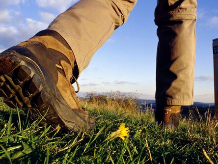 Wanderschuhe auf einer Wiese in Bad Wildungen