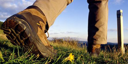 Wanderschuhe auf einer Wiese in Bad Wildungen