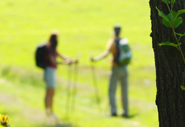 Bild zur News: Geführte Wandertouren in der Wartburgregion